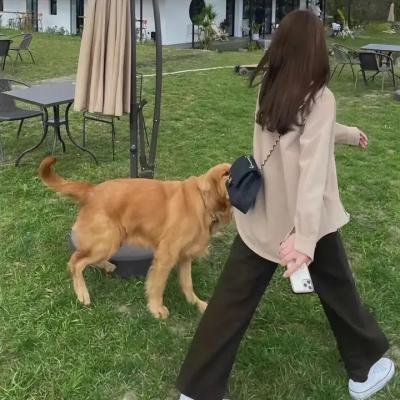 漂亮书生